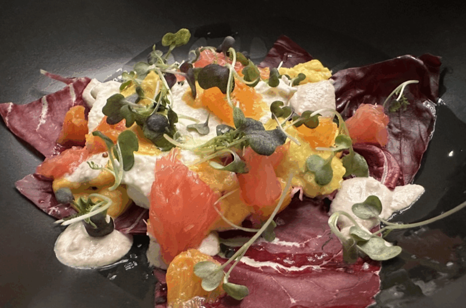 FERMENTED BLOOD ORANGE